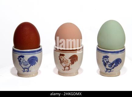 Three egg cups, decorated with a rooster, eggs in three different colors, laid by three types of chickens: Sussex, Marans and Araucona Stock Photo