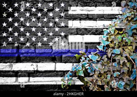 USA thin blue line grunge black and white flag on brick wall with ivy plant, country symbol concept variant Stock Photo