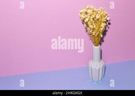 Vase of beige baby's breath flowers on blue table. purple wall background. home interior Stock Photo