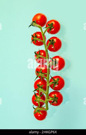 Branch of juicy red cherry tomatoes on a light blue background. Food background. Stock Photo
