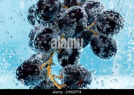 Black grapes in water with air bubbles close up macro. Juicy summer fruit cocktail Stock Photo
