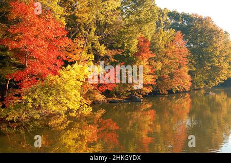 Autumn reflections on the lake Stock Photo