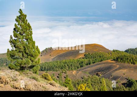 View from the Montana la Barquita in red lava landscape on the Cumbre Vieja in La Palma, Spain down to some colorful volcano craters above the clouds. Stock Photo