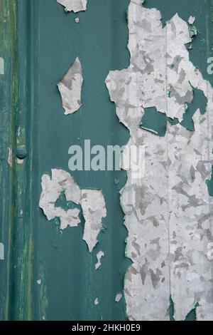 peeling green paint on old metal door paint peeling to reveal grey and silver metal underneath dark green color paint on exterior building wall Stock Photo