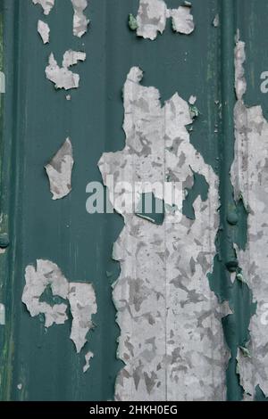 peeling green paint on old metal door paint peeling to reveal grey and silver metal underneath dark green color paint on exterior building wall Stock Photo