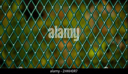 green chainlink fence close up series of diamond shapes connected hard strong green metal fence with blurred green fall background horizontal format Stock Photo