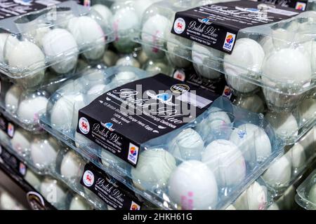 Packaged British Blue eggs at a supermarket Stock Photo