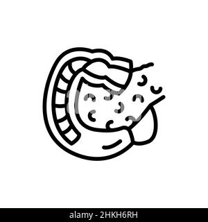 Human organ duodenum color line icon. Isolated vector element. Outline pictogram for web page, mobile app, promo Stock Vector