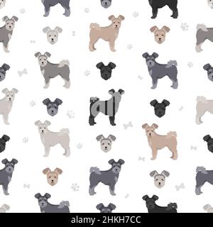 Pumi seamless pattern. Different poses, coat colors set.  Vector illustration Stock Vector