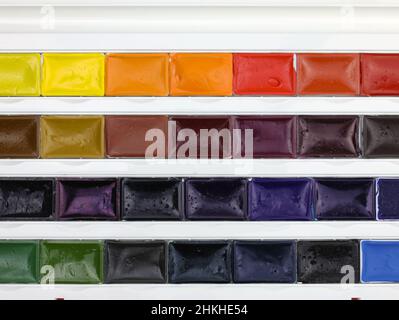 Top view watercolor paints in a plastic container. Watercolor in cuvettes close-up. Different colors of paints background. Stock Photo