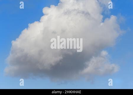 Large white cloud in the blue sky. Stock Photo