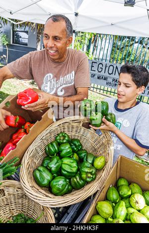Miami Florida,Legion Park,Upper Eastside Green Farmers Market vendor,stall booth marketplace produce,Asian father man son boy green red peppers Stock Photo