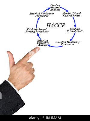 Seven steps of HACCP implementation cycle Stock Photo - Alamy