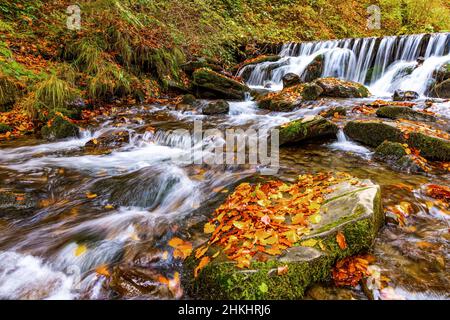 Beautiful Waterfall Shipot in the autumn forest of the Carpathian Mountains Stock Photo