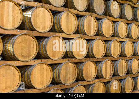 Lots of wooden barrels in the wine cellar Stock Photo