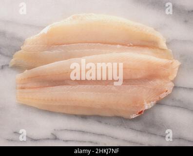 Lemon sole fillets Stock Photo