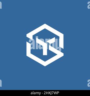 Modern and sophisticated initials YS logo design1 Stock Vector
