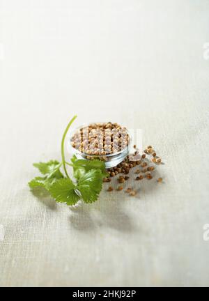 Coriander and Moroccan seeds in small glass bowl Stock Photo
