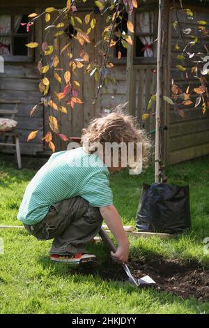 Boy digging hole in ground next to sapling Stock Photo