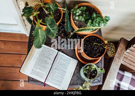 Top view of Bible open on table with plants on porch Stock Photo