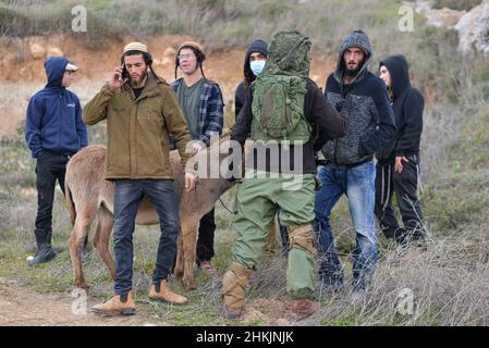 IDF soldier next to the youth of Givát Ronen outpost. Hundreds of Israeli and Palestinian peace activists had planted olive trees in the Palestinian village of Burin, below the Jewish illegal outpost of Givát Ronen. Two weeks prior to the event, a group of Jewish peace activists who arrived for olive plantation were violently attacked by the youth of Givát Ronen. Today, the IDF forces had separated between the activists and the settlers. One Israeli activist was arrested during the event. Burin, Palestine. Feb 04th 2022. (Photo by Matan Golan/Sipa USA) Stock Photo