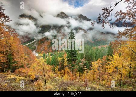 autumn in the Triglav National Park, Slovenia, Triglav National Park, Kransjka gora Stock Photo