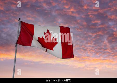 Flag of Canada flying on a pole against a sunrise background. Stock Photo