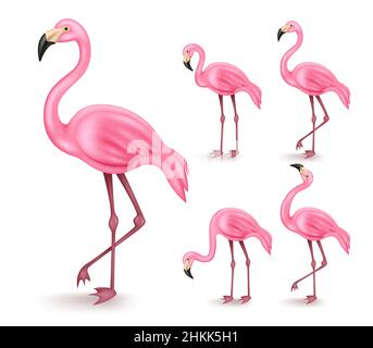 Flamingo vector set design. 3d flamingos in standing and walking gesture isolated in white background for summer and tropical wildlife animal. Stock Vector
