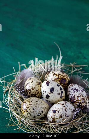 Quail eggs in the nest. Simple Easter composition. Minimal concept. View from above. Card with copy space for text. Green background Stock Photo