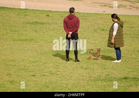 Couple walking their dog in the park. La Ballena. Las Palmas de Gran Canaria. Gran Canaria. Canary Islands. Spain. Stock Photo