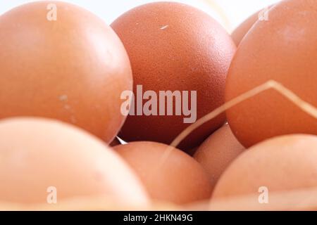 Macro of brown eggs stack in hay with white background. Side or profile view, closeup and macro shot of shelled eggs with wicker or straw nest. Stock Photo