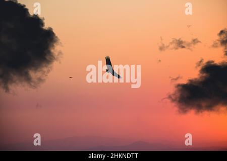 Alone in the sky Stock Photo
