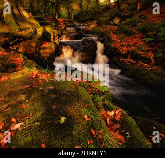 Picturesque and mysterious mountain streams of Ireland in autumn Stock Photo