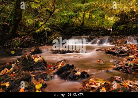 Picturesque and mysterious mountain streams of Ireland in autumn Stock Photo