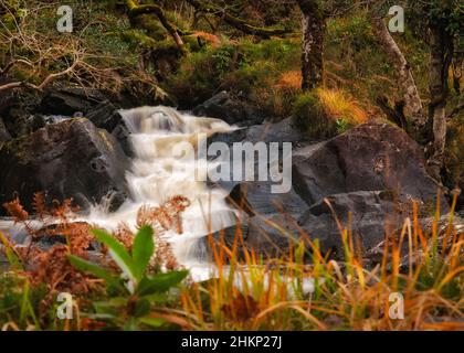 Picturesque and mysterious long exposure shot of mountain creek in Wicklow mountains, Ireland Stock Photo