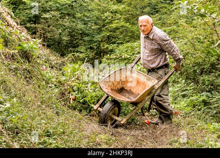 Senior man with old wheelbarrow working in the garden. Stock Photo