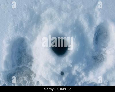 Fishing in the winter. Fishing through a hole in ice Stock Photo