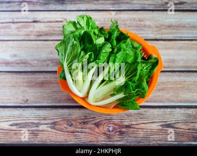 Fresh raw Asian "baby pak choi" gabbage in a colander. Stock Photo
