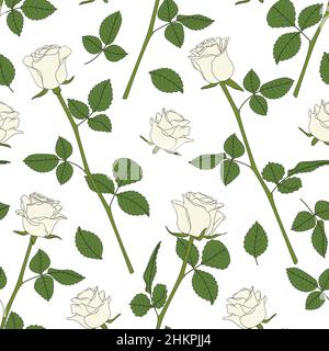 Seamless pattern with white roses. Vector colored floral background. Stock Vector