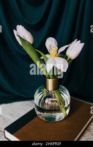 Dutch inspired still life of purple tulips in bud vase sitting on book Stock Photo