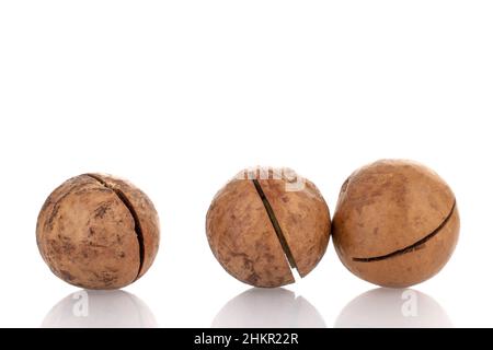 Three whole unpeeled macadamia nuts, close-up, isolated on white. Stock Photo