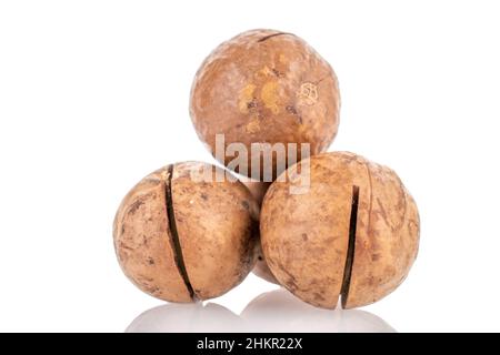 Several whole unpeeled macadamia nuts, close-up, isolated on white. Stock Photo