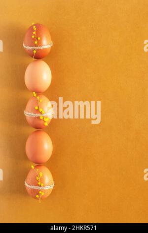 Decorated mimosa flowers chicken eggs, vertical row, Easter symbol, copyspace Stock Photo