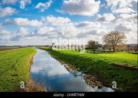 Beautiful view of the low grasslands (polders) with water filled ditches in the west of the Netherlands, near Gouda. Stock Photo