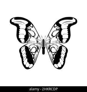 Butterfly minimal black and white vector icon Beautiful tattoo silhouette  Sketch of winged animal 17431968 Vector Art at Vecteezy