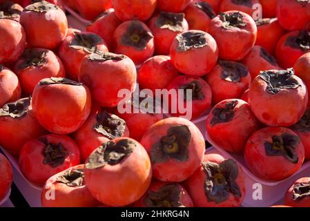 Close up Turkish persimmons in Antalya Stock Photo
