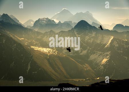 Two black ravens soar among highest mountain peaks on earth. In distance - highlighted by wispy white cloud - is Mount Everest as seen from Gokyo Peak Stock Photo