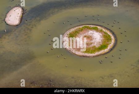 Aerial view, Llacuna de sa Barcassa, island with birds-eyes view and water feature, Alcúdia, Mallorca, Balearic Islands, Spain, ES, Europe, aerial pho Stock Photo