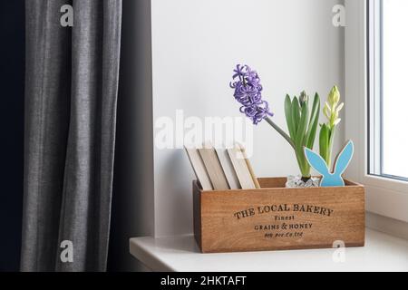 Interior decoration for Easter. Blooming blue hyacinths and books in a wooden storage box on a windowsill. Ceramic hare. Stock Photo