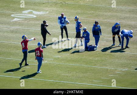 Los Angeles Rams quarterback John Wolford (13) during an NFL game against  the Jacksonville Jaguars, Sunday, Dec. 5, 2021, in Inglewood, Calif. The  Ram Stock Photo - Alamy